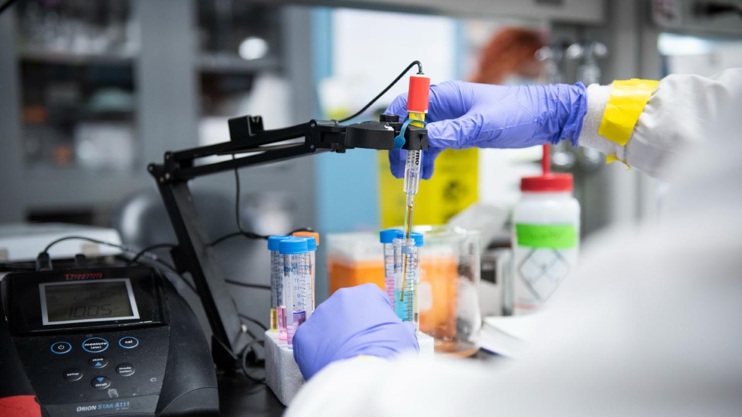 A gloved researcher uses lab equipment to test liquid samples in test tubes.