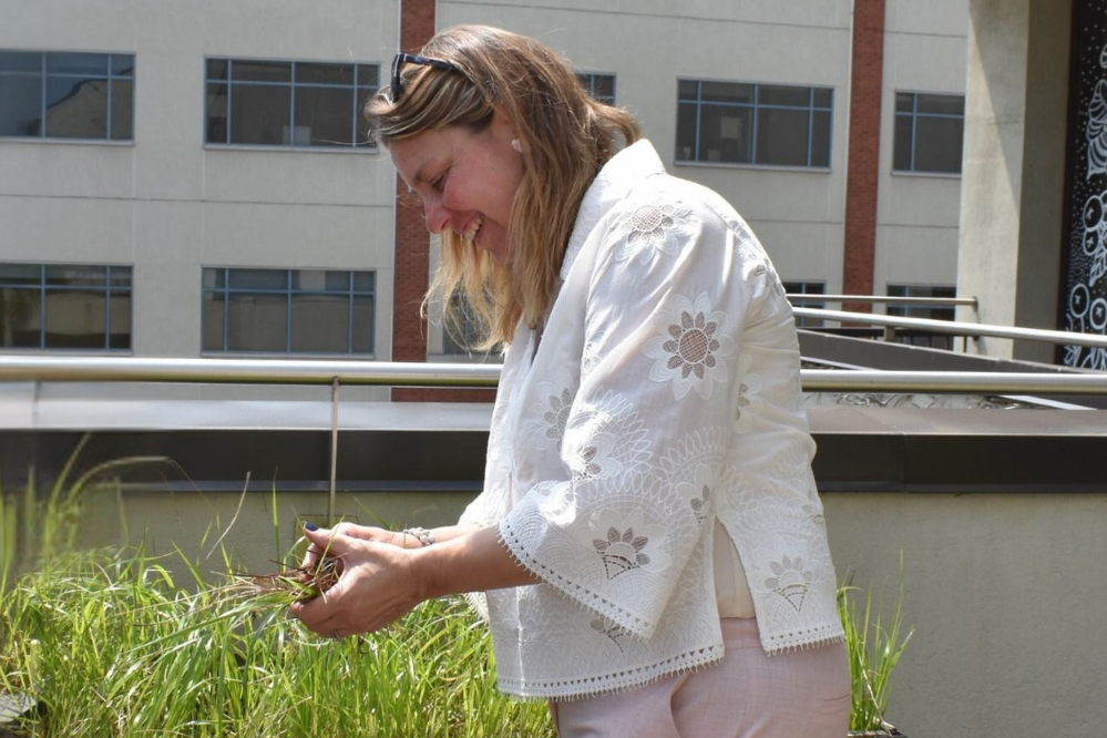 A woman stands in front of a long planter filled with grass. She is holding a plant in her hands.