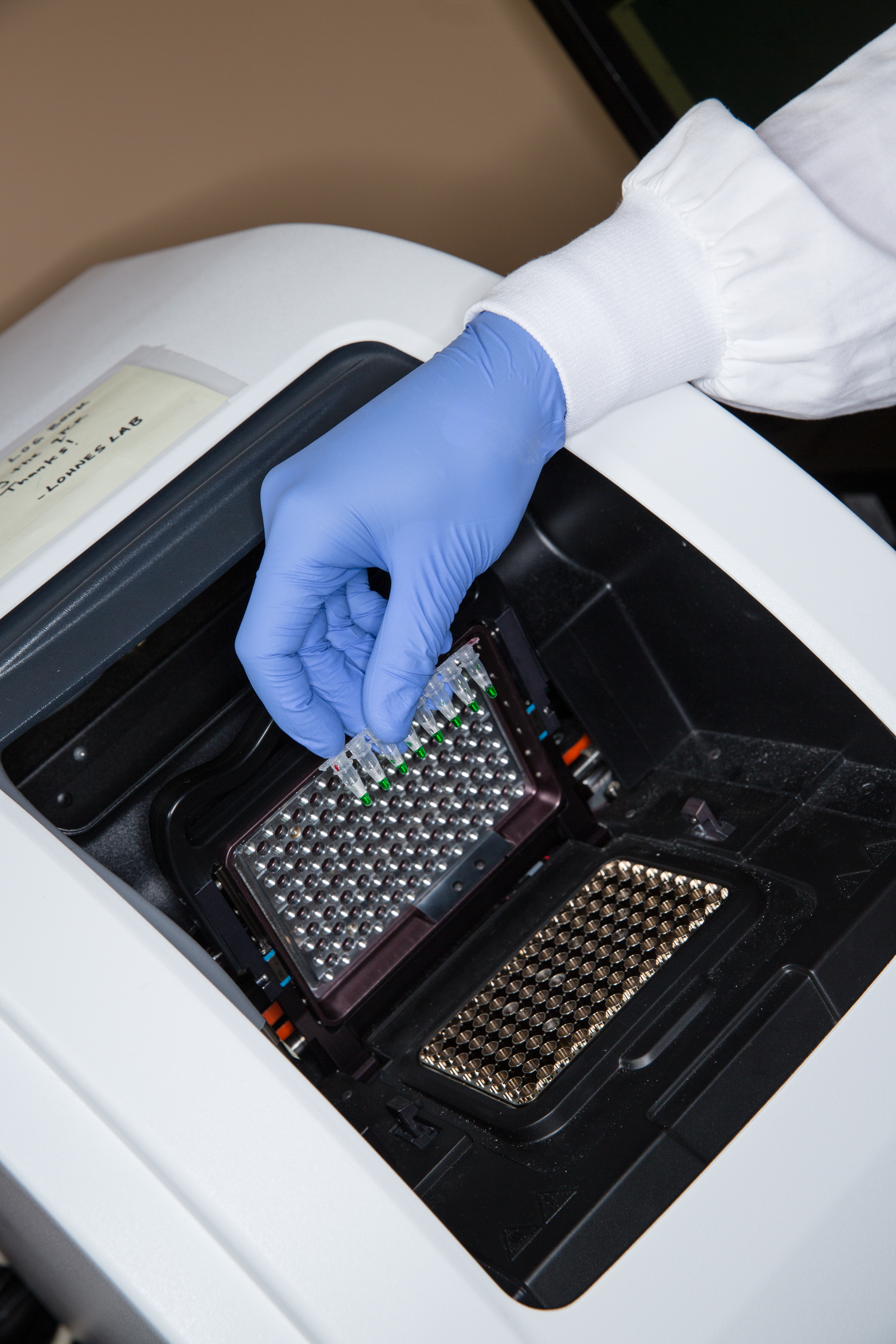 Student in Lab