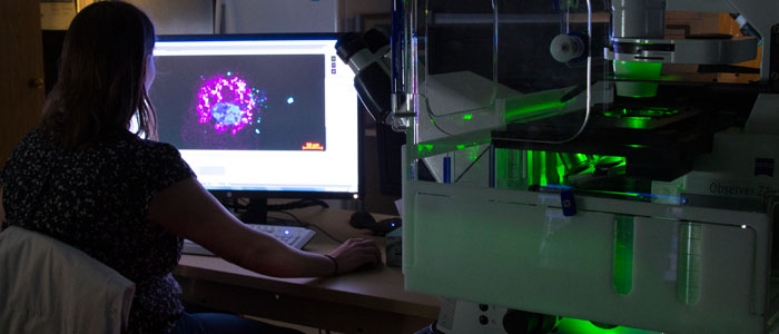 Scientist checking fluorescence microscope image on a computer.