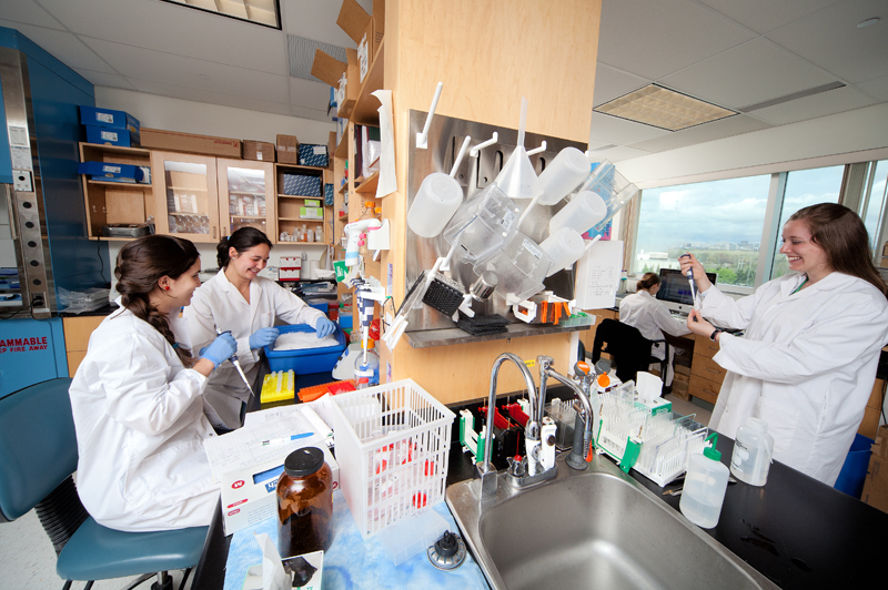 Researchers working at lab benches and computers