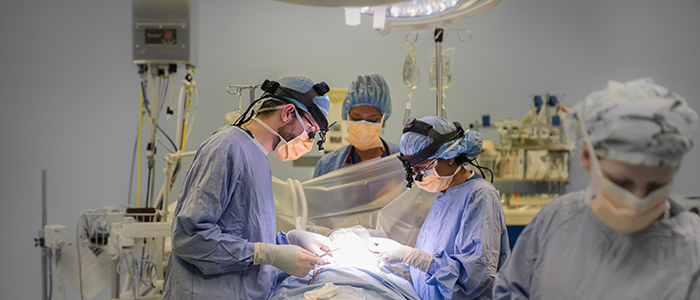 Drs. Bromwich and Kherani in the operating room