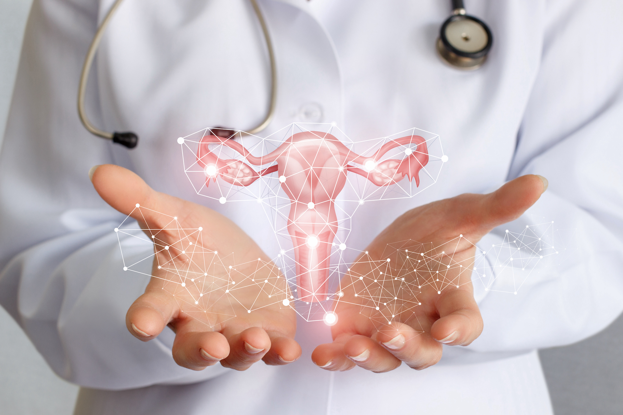 Worker of medicine shows the uterus of the female