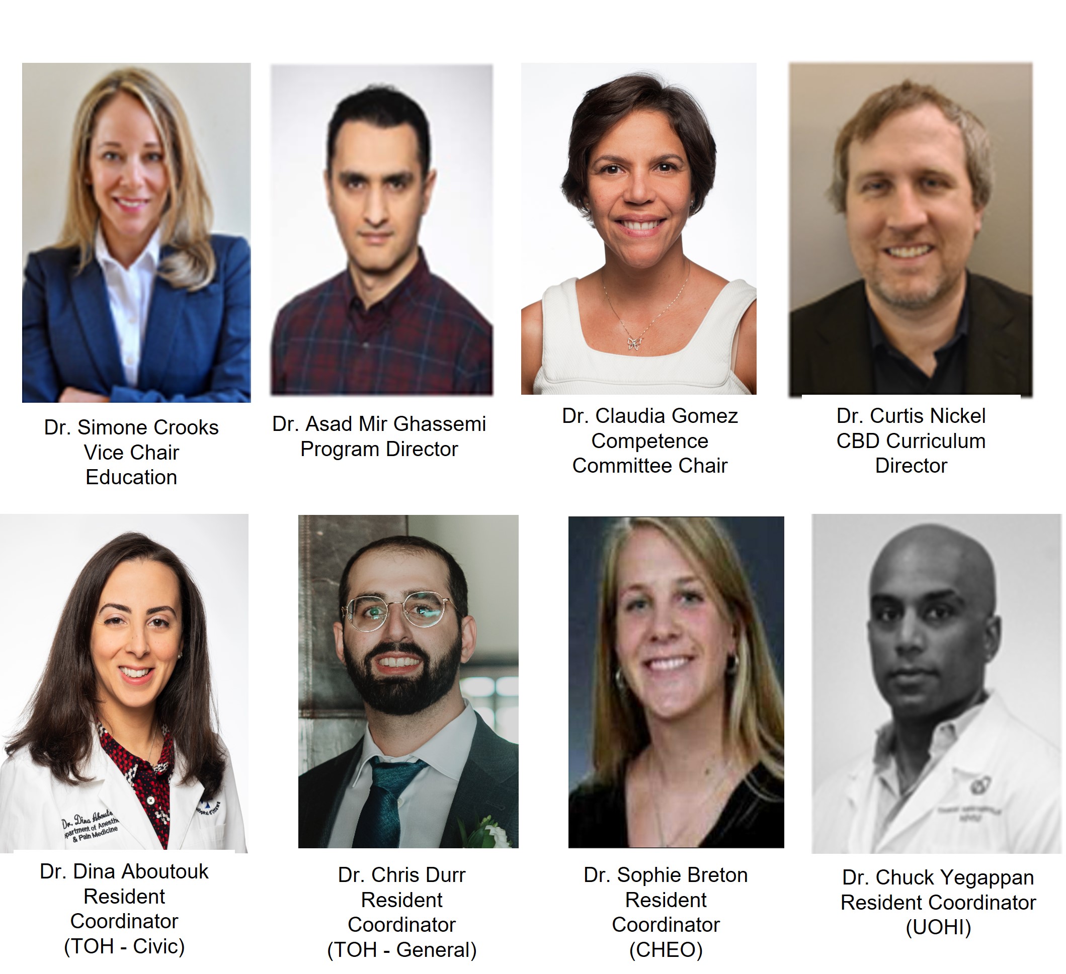Anesthesiology Program Leadership