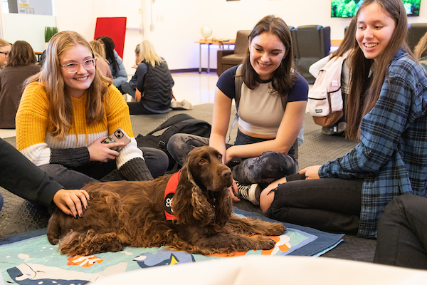 Therapy Dog Session