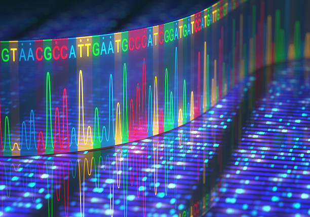 HMG sequencing