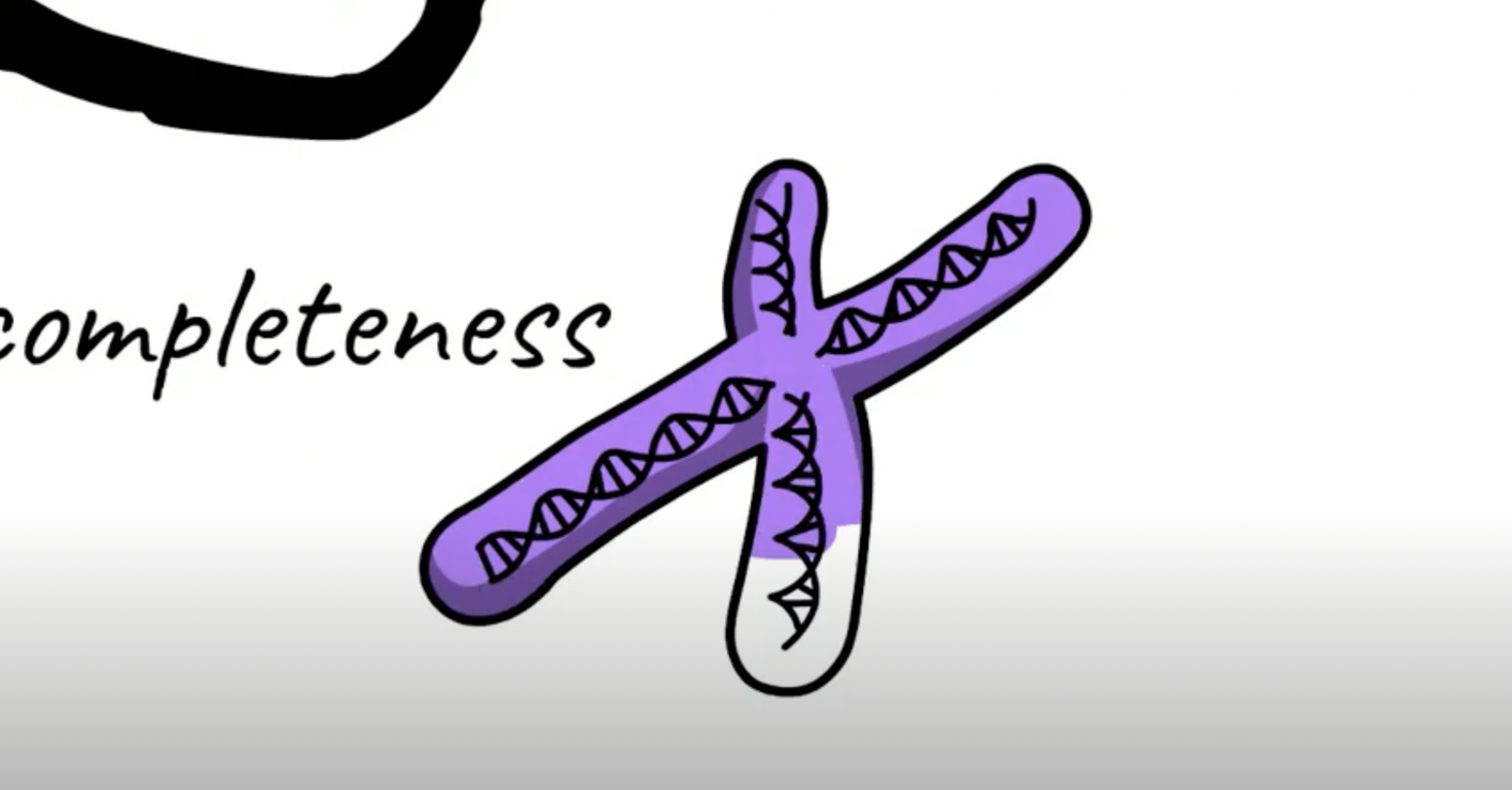 What is an Interactome? keyframe
