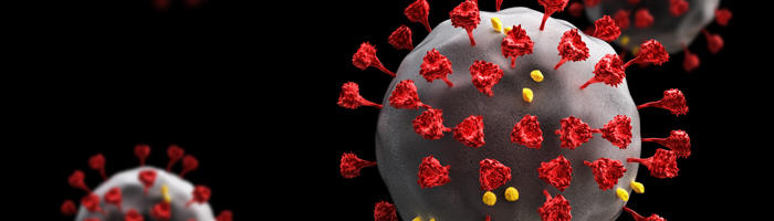 microscopic close-up of a virus