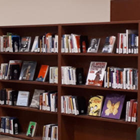 Bookshelf holding books