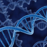 DNA strands