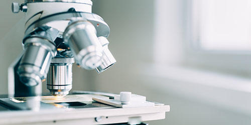 Microscope in Laboratory"