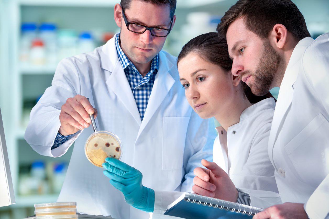 Laboratory researchers collaborating on an experiment, reviewing samples and notes at a lab bench.