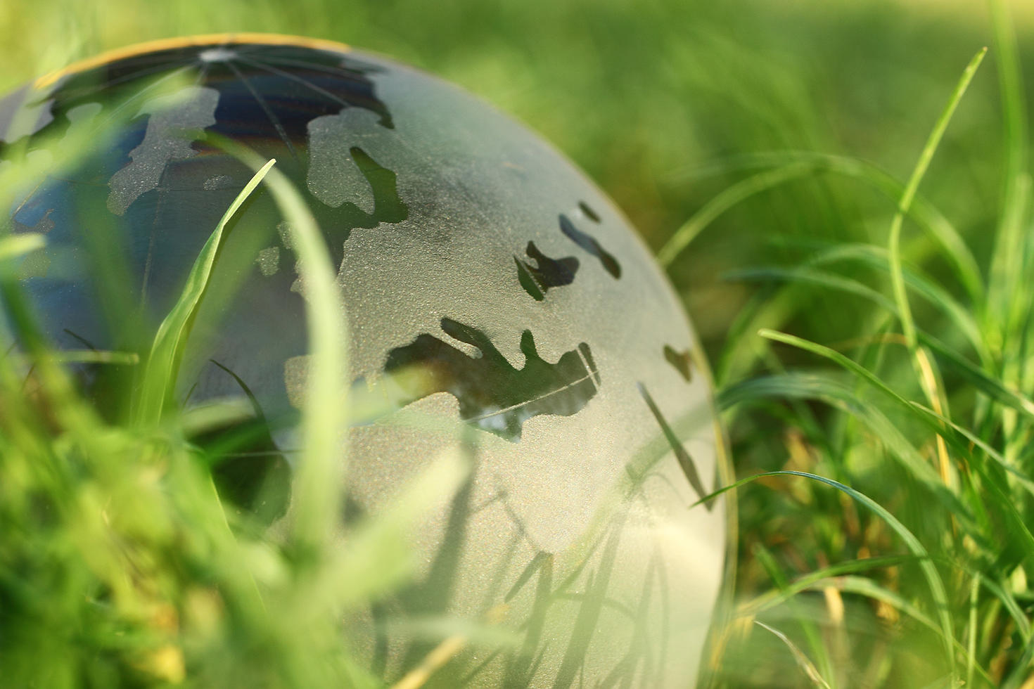 Green Earth 
