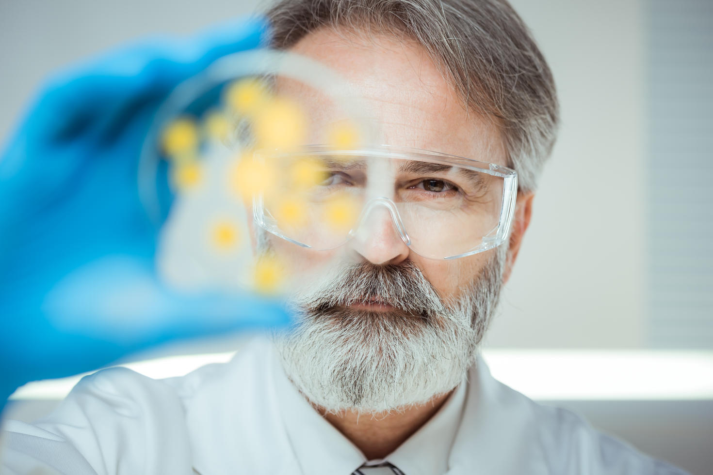 Middle aged male professor with safety goggles examining a petrie dish wearing a blue glove