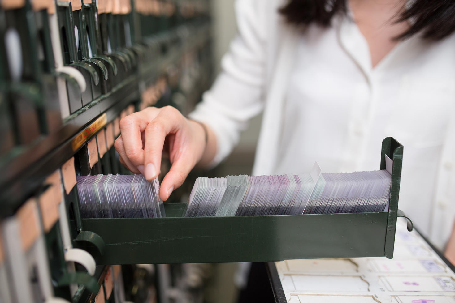 Female doctor looking through microscope slides in a drawer