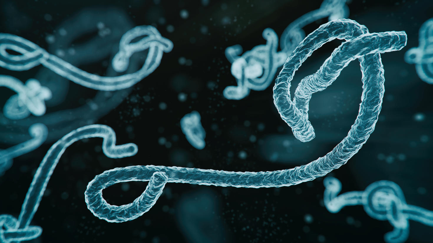 Image of Abs Ebola Halogram