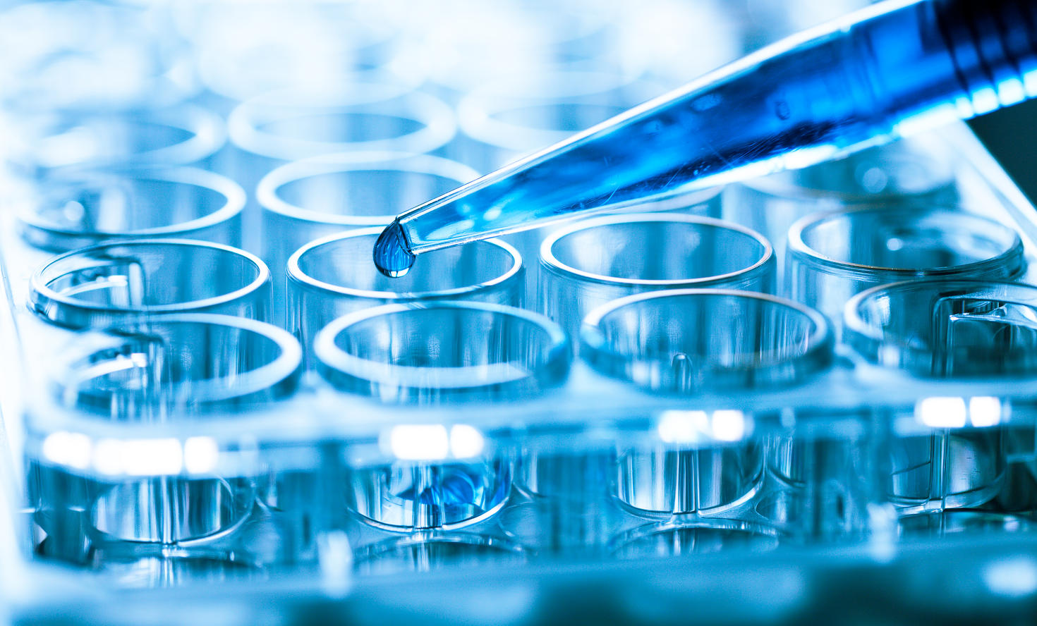Microbiological pipette in a genetic laboratory