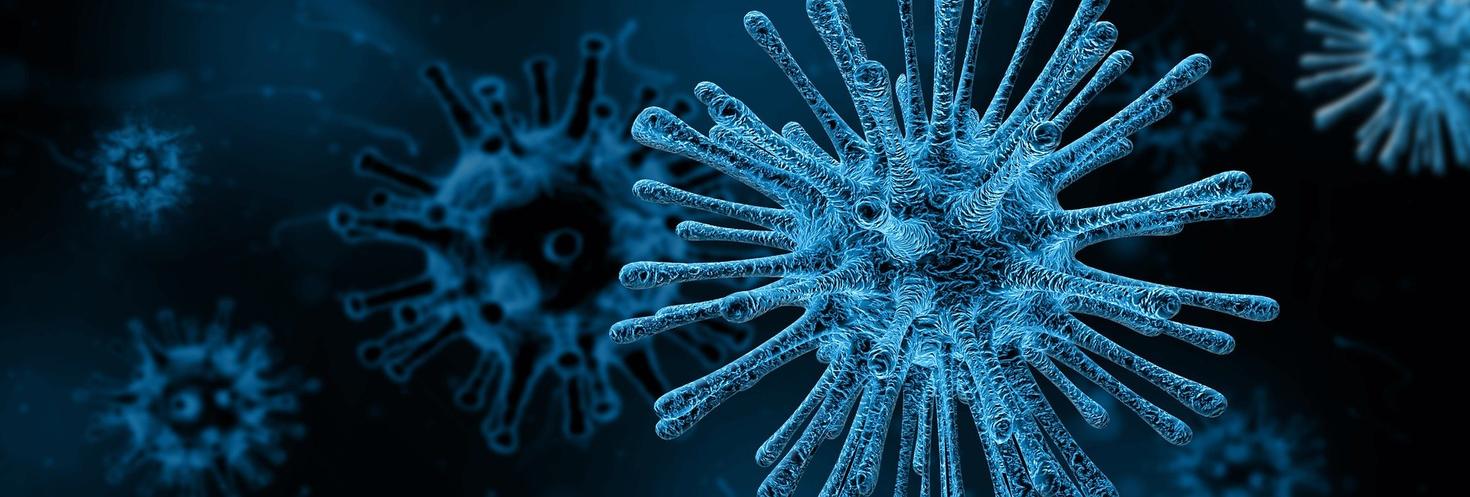 a virus viewed in a microscope