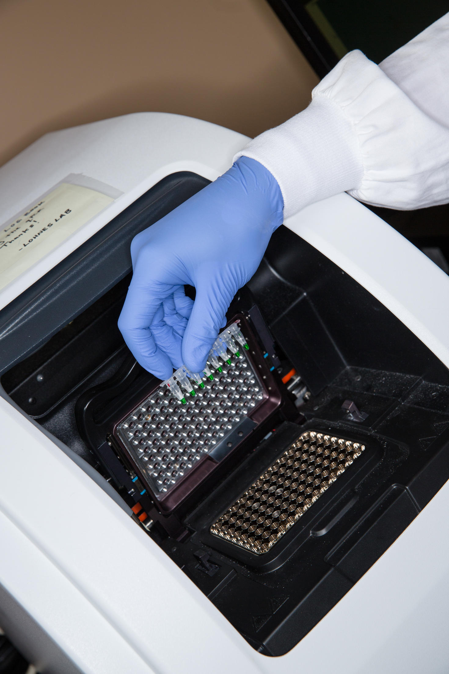 Student in lab