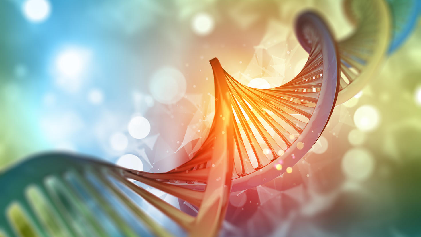 colorful DNA strand