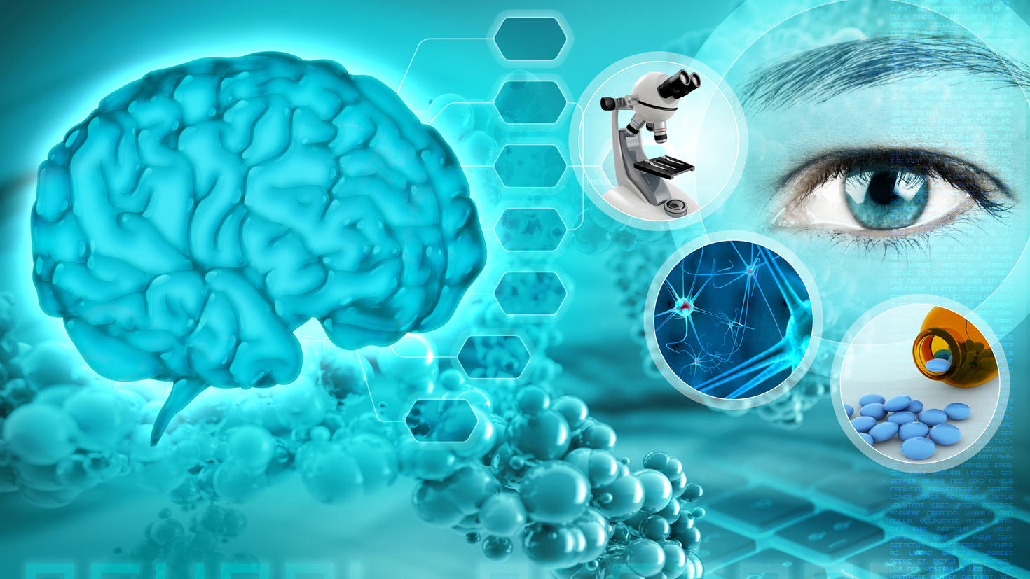 Brain image with microscope, eyes