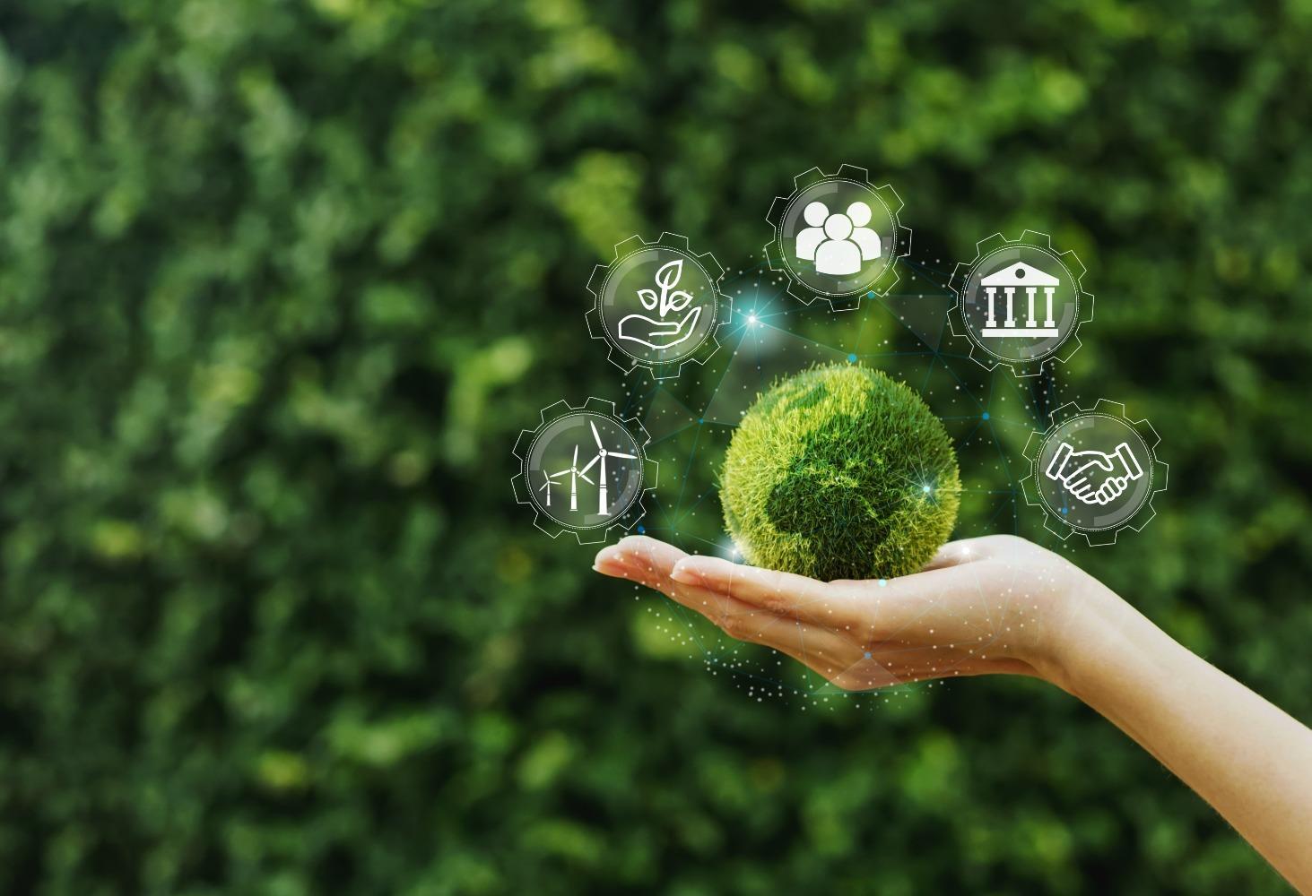 hand holding green globe