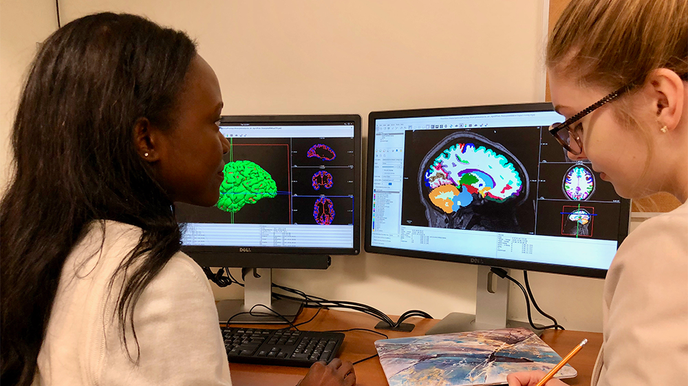 Graduate students processing data from structural Graduate students processing data from structural magnetic resonance imaging scans at the Royal's Brain Imaging Centremagnetic resonance imaging scans at the Royal Brain Imaging Centre