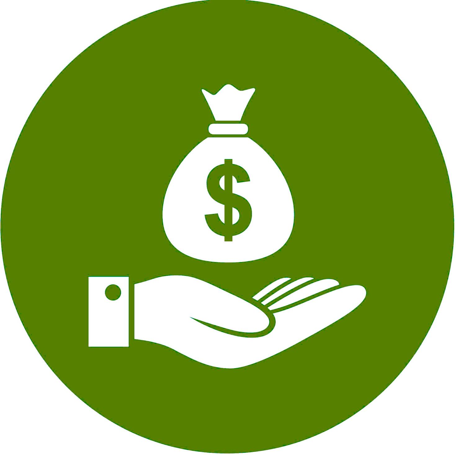 Palm holds money bag