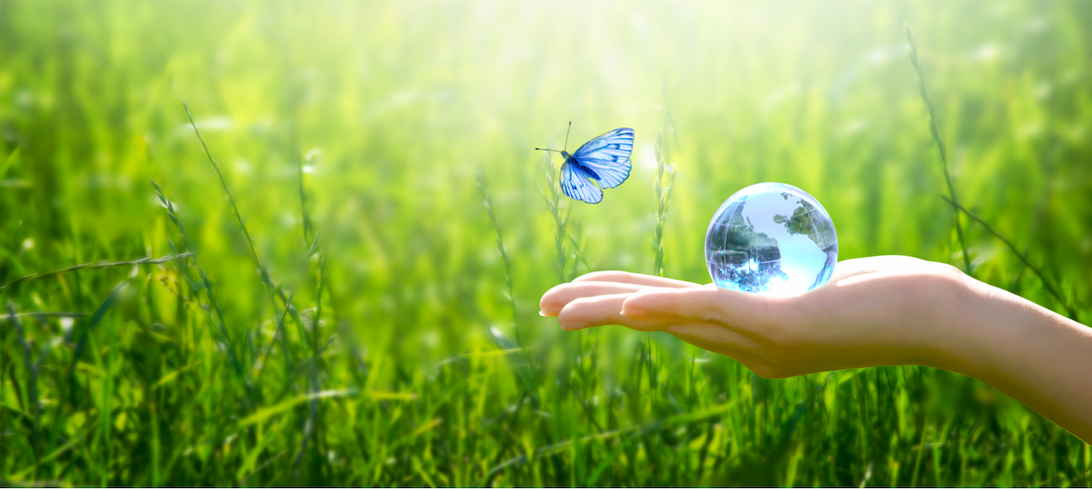 hand holding a globe with grass in background