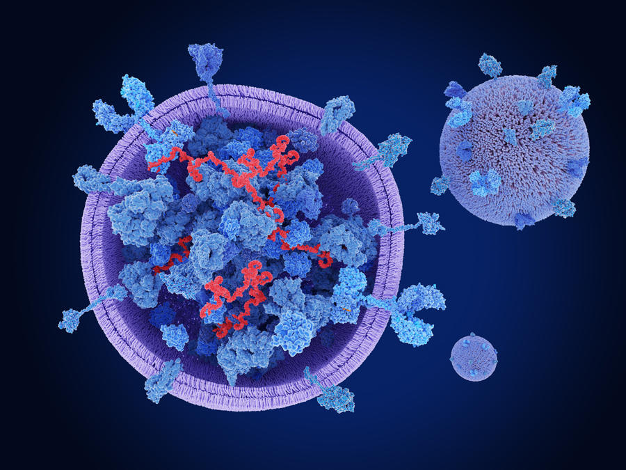 Exosomes blue