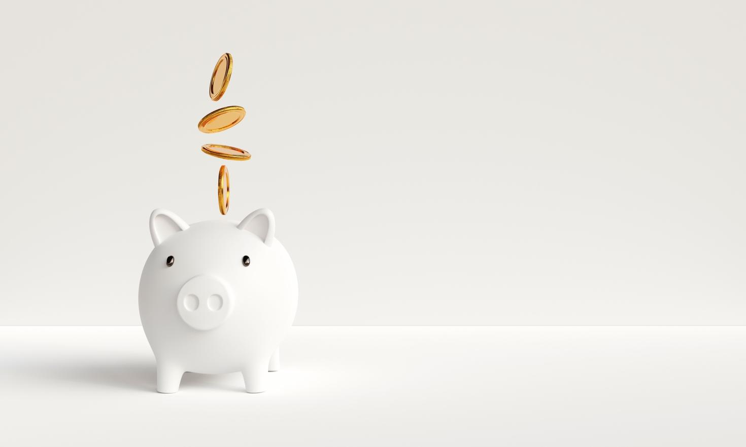 money pig representing Remuneration tools