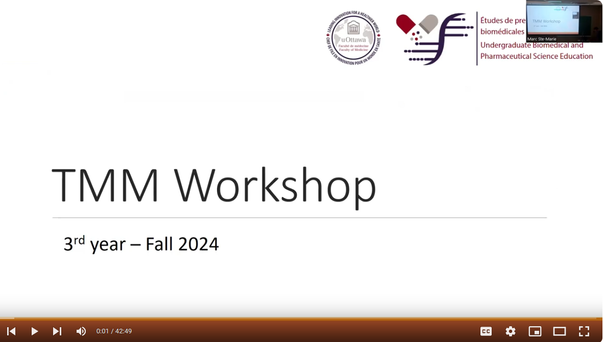TMM Workshop 3rd year 