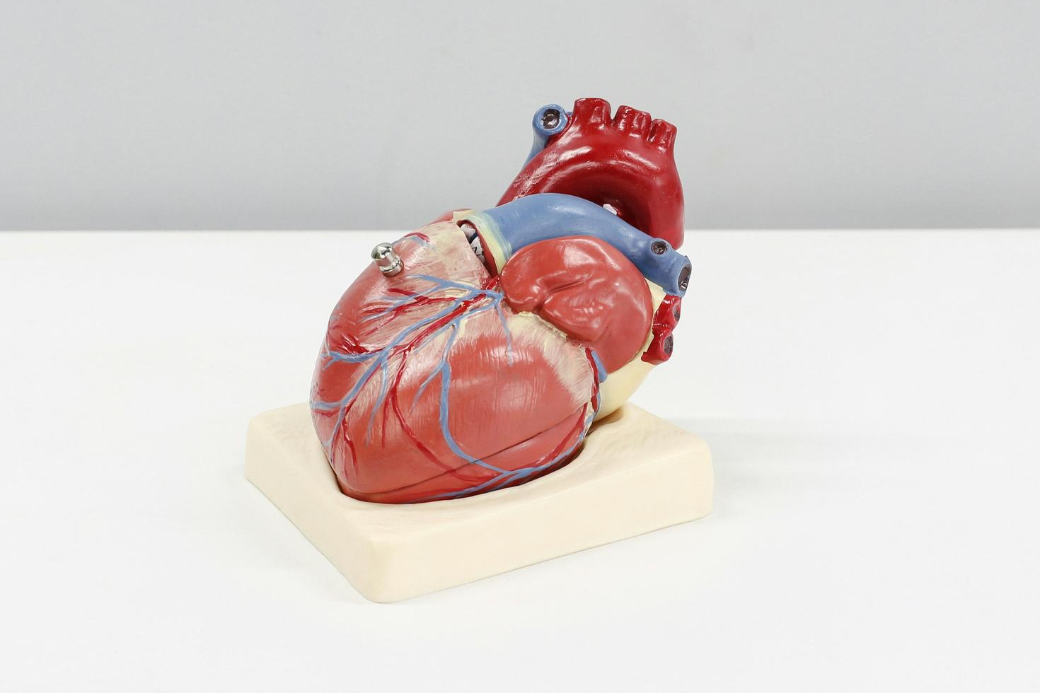 plastic heart