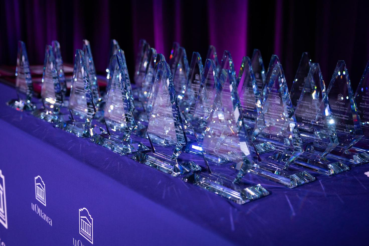 Trophies on table at MEDGALA 2025