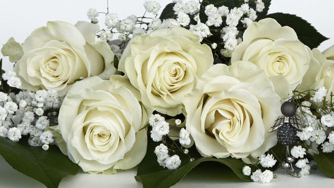 white roses