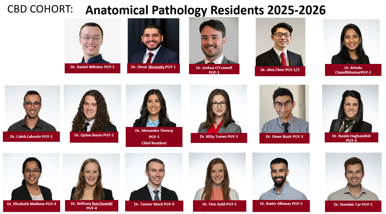 Anatomical Pathology Residents 2025-2026
