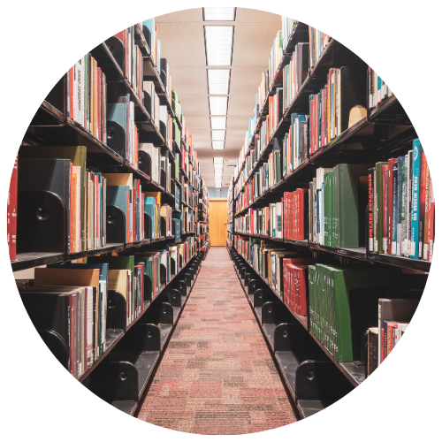 library shelves full of books