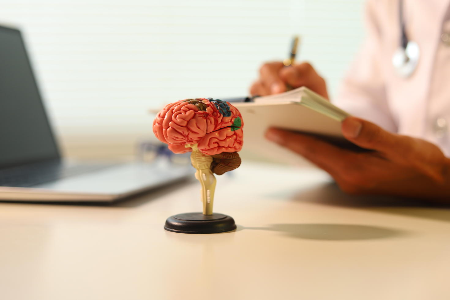 Small brain-shaped model on a desk beside a laptop, with a person using a notepad in the background