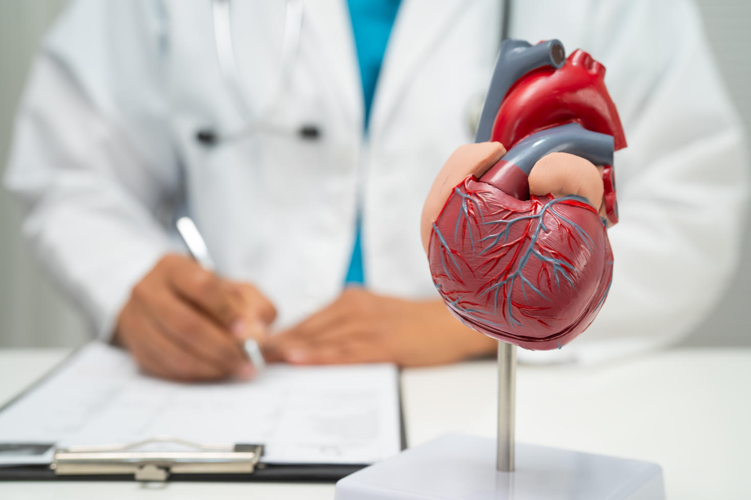 An anatomical model of a human heart displayed on a desk, with a healthcare professional writing in the background.