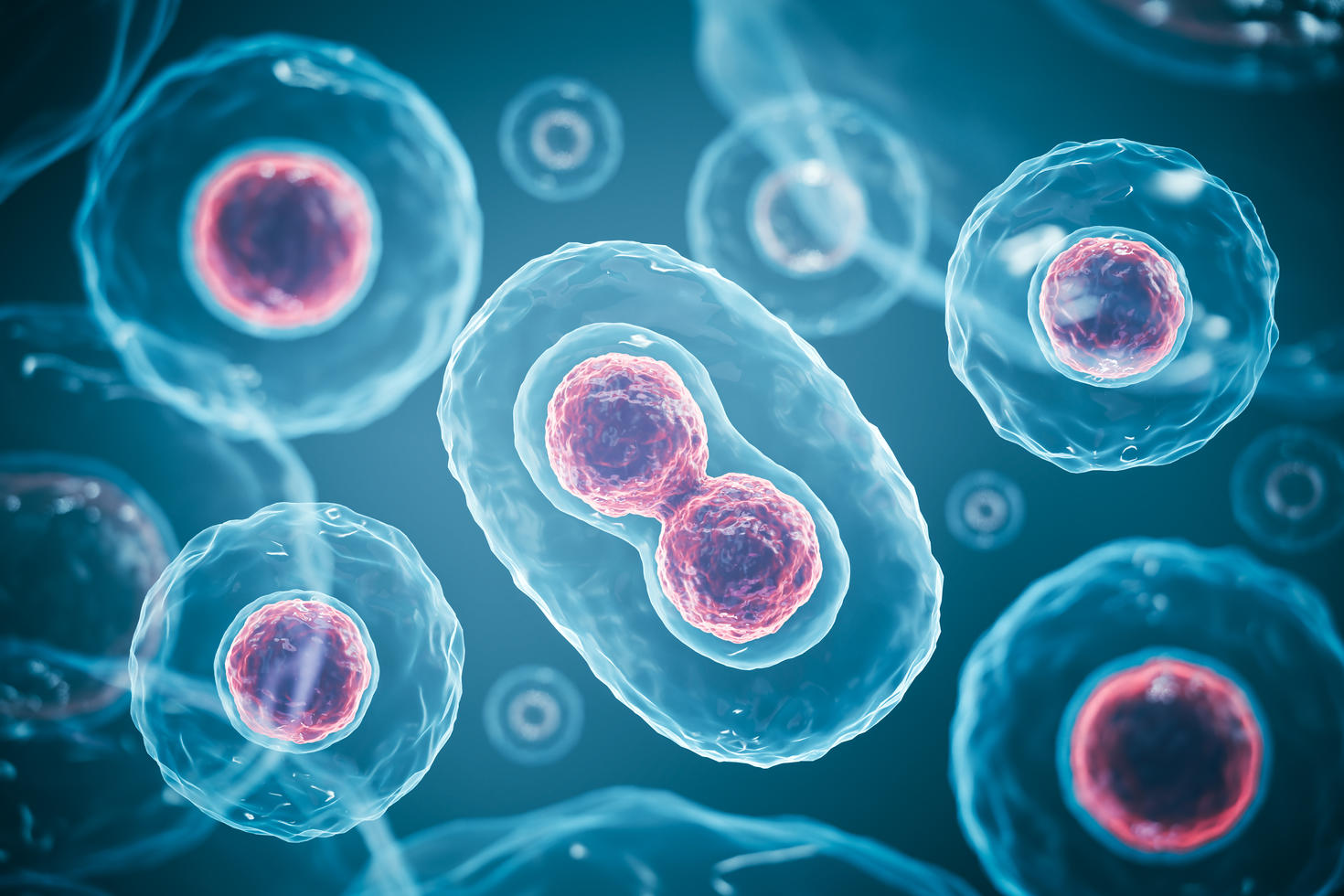 Scientific illustration of cells undergoing division, representing cellular biology and biomedical research.