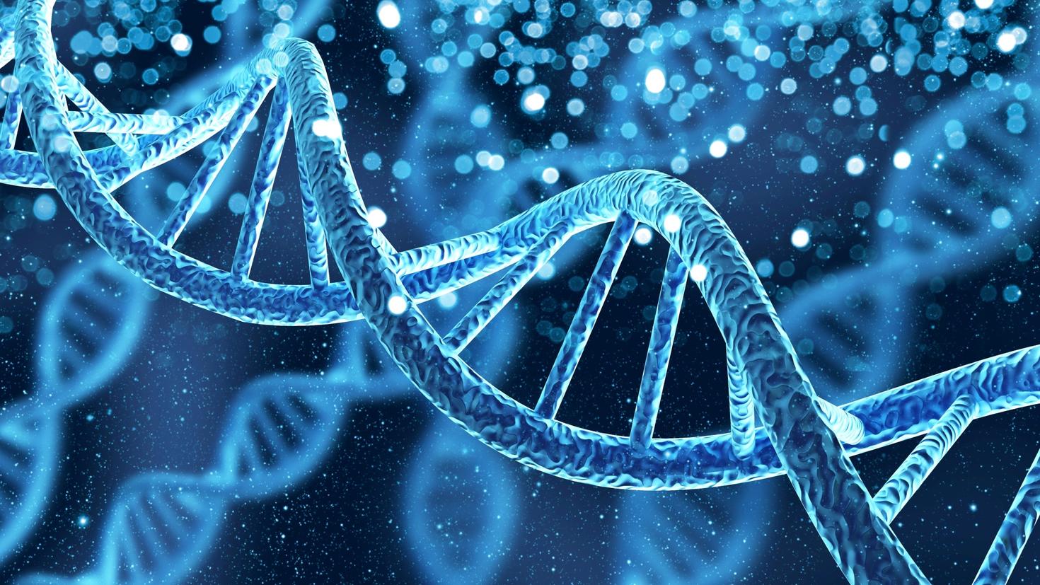 DNA Helix