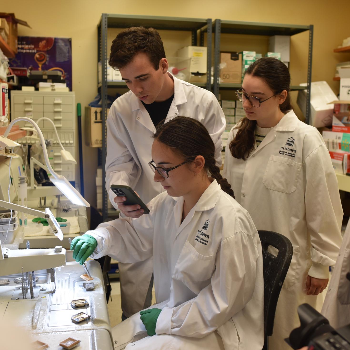 MedGlobal Summer School learning