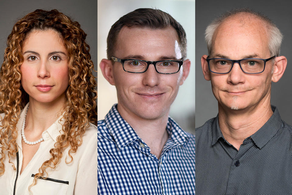 Photo of Dr. Mireille Khacho; Dr. Maxime Rousseau; Dr. William Stanford.