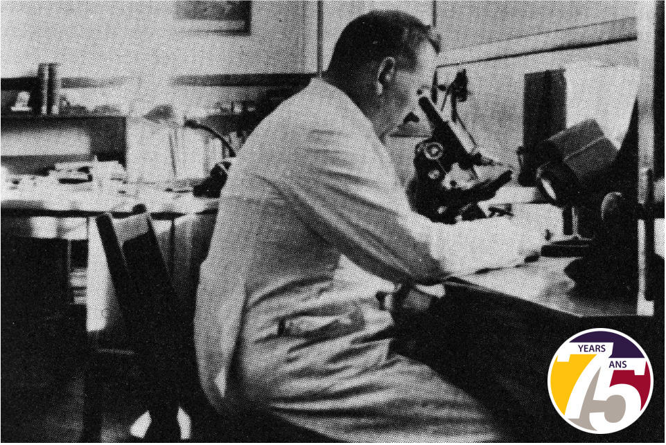 Leonard Belanger peers into a microscope
