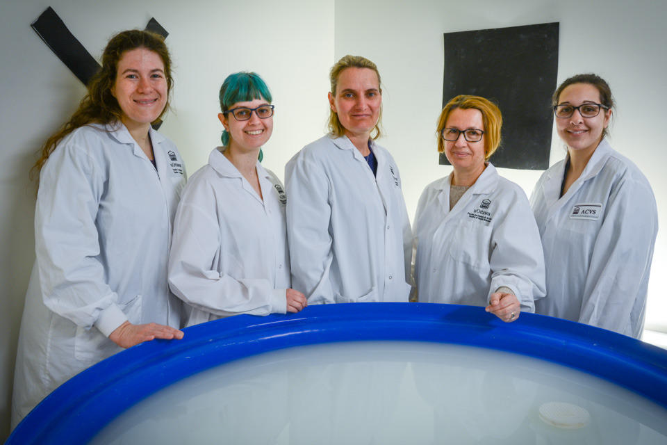 Photo of Kerstin Ure, Sarah Kealey, Diane Lagace, Mirela Barcaly and Karine Sabourin.