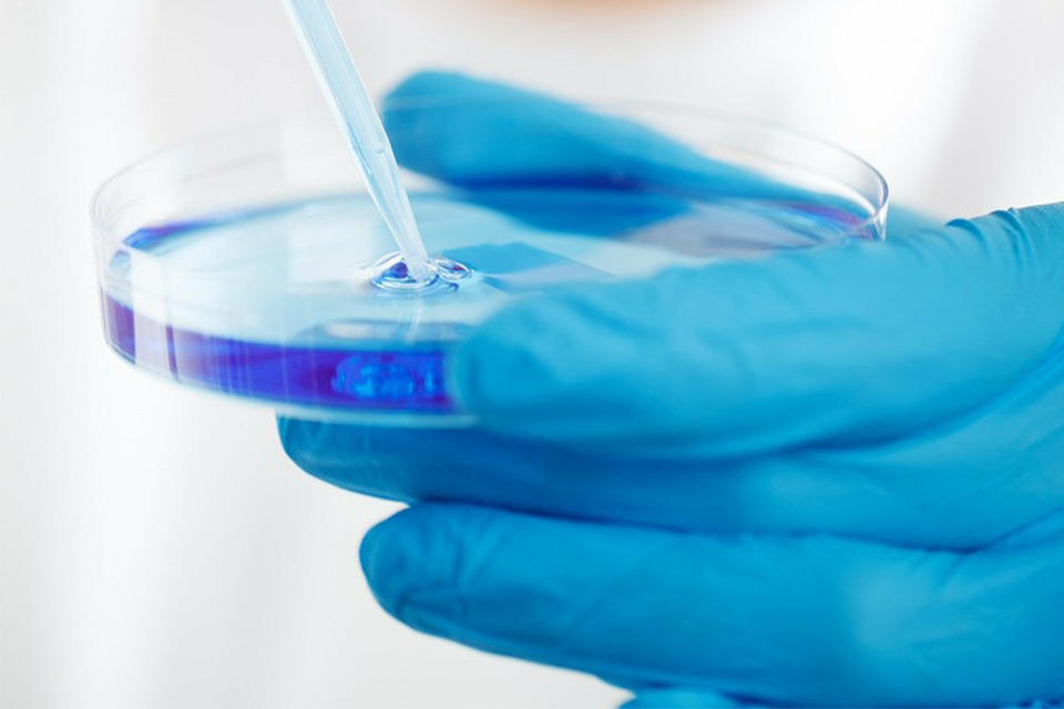 Fluid being dripped into a petri dish.