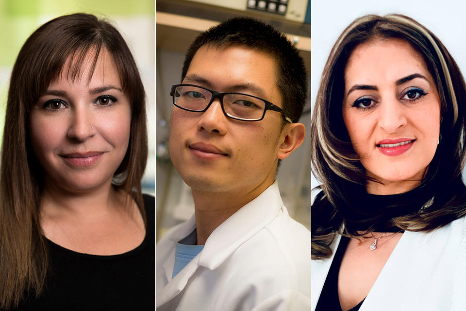 From left to right: Dr. Deborah Siegal, Dr. Simon Chen, Dr. Arezu Jahani-Asl.