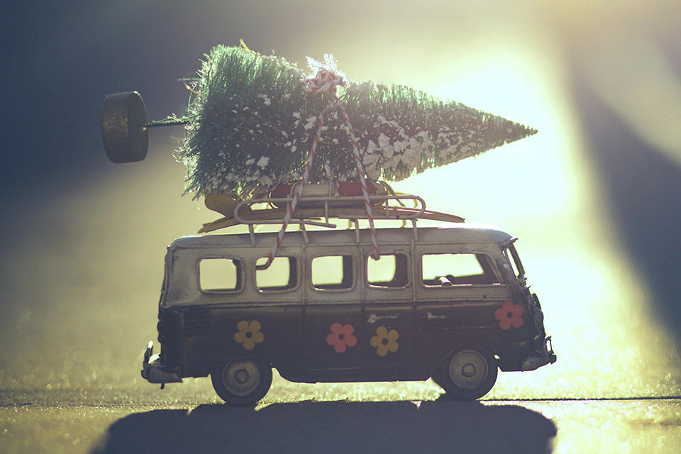 Toy bus with tree