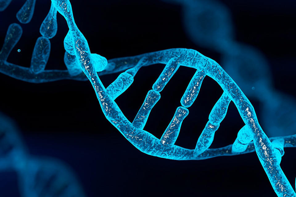DNA