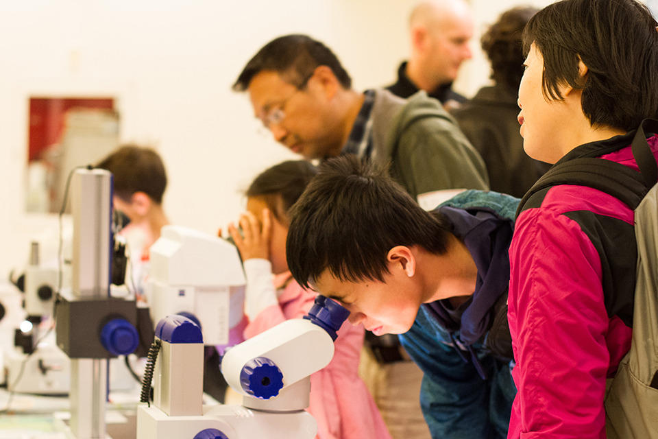 Man looking into microscope